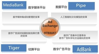 傳合網(wǎng)絡(luò)科技圖冊 計算機軟硬件全景解析